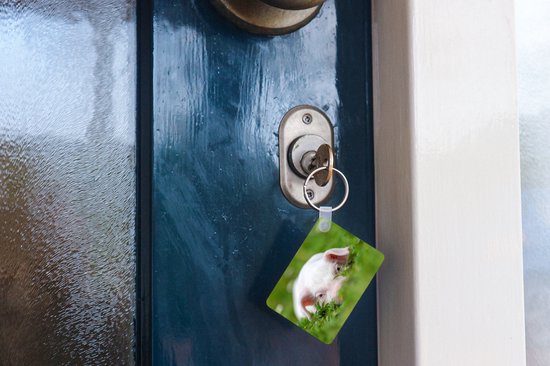 Porte-clés - Cochon - Animaux - Porcelet - Cadeaux à distribuer - Plastique - Cadeaux Sinterklaas - Cadeaux à distribuer pour les enfants - Cadeaux chaussures - Petits cadeaux