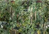Photo Wallpaper King - Papier peint - Papier peint intissé - Papier peint Papier peint photo - Papier peint non tissé de la jungle - 250 x 175 cm
