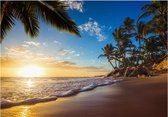 Papier peint photo - Plage Tropical