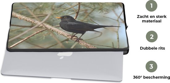 Housse pour ordinateur portable 15,6 pouces - Vogel - Merle - Branches - Animaux - Housse pour ordinateur portable - Dimensions intérieures 39,5x29,5 cm