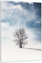 WallClassics - Dibond - Kale Eenzame Boom in Sneeuwlandschap - 100x150 cm Foto op Aluminium (Wanddecoratie van metaal)