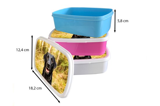 Lunch box Blauw - Lunch box - Boîte à pain - Happy black dog - 18x12x6 cm - Enfants - Garçon