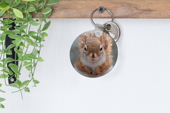 Porte-clés - Écureuil - Rongeur - Flocon de neige - Hiver - Plastique - Rond