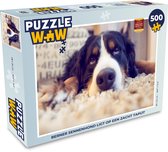 Puzzle Bouvier Berner allongé sur un tapis moelleux - Puzzle - Puzzle 500 pièces