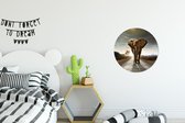 Muurstickers dieren - Olifant - Natuur - Behangsticker - Behangcirkel zelfklevend - Wandbekleding - Ronde muurdecoratie - 30x30 cm - Muursticker cirkel - Plak stickers - Wall sticker