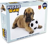 Puzzel Een bruine puppy met een voetbal - Legpuzzel - Puzzel 500 stukjes