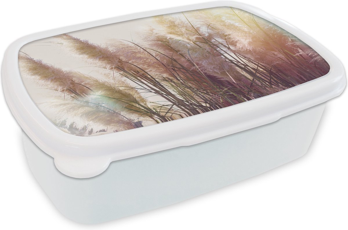 Broodtrommel Wit - Lunchbox - Brooddoos - Stilleven - Kleuren - Riet - 18x12x6 cm - Volwassenen