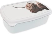 Broodtrommel Wit - Lunchbox - Brooddoos - Schotse hooglander - Dier - Wit - 18x12x6 cm - Volwassenen