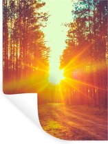 Stickers muraux - Film autocollant - Coucher de soleil - Arbres - Forêt - Nature - 120x160 cm - Film adhésif - Stickers muraux Chambre d'enfant - Papier peint autocollant XXL
