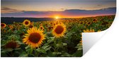 Stickers muraux - Feuille autocollante - Fleurs - Nuit - Coucher de soleil - Tournesol - Horizon - 160x80 cm - Film adhésif - Stickers muraux chambre d'enfant - Papier peint autocollant - Papier peint autocollant - Feuille autocollante