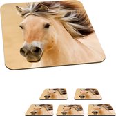 Onderzetters voor glazen - Paarden - Dieren - Manen - Portret - 10x10 cm - Glasonderzetters - 6 stuks