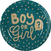 Boland - 10 Papieren bordjes Boy or Girl - Geen thema - Babyshower - Gender reveal