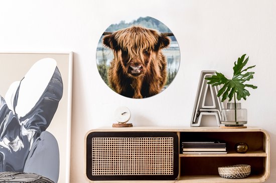 WallCircle - Cercle mural - Cercle mural - Highlander écossais - Animaux - Vache - Nature - Water - Plastique - Tableaux ronds - Décoration murale ronde - 60x60 cm - Décoration murale ronde - Tableau rond
