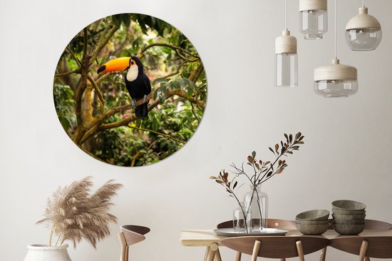 Cercle mural - Cercle mural - Vogel - Toucan - Jungle - Nature - Plastique - Tableaux ronds - 150x150 cm - Cercle Décoration murale - Cercle mural jungle - Cercle mural oiseau