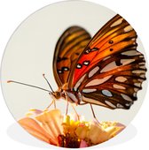 WallCircle - Muurcirkel - Vlinder - Insect - Bloemen - Natuur - Wandcirkel - Muurcirkel binnen - Muurdecoratie rond - ⌀ 120 cm - Kunststof - Ronde wanddecoratie - Rond schilderij