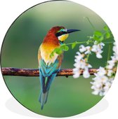 WallCircle - Cercle Mural - Cercle Mural - Vogel - Guêpier - Fleurs - Aluminium - Dibond - 140x140 cm - Intérieur et Extérieur