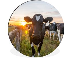 WallCircle - Wandcirkel - Muurcirkel - Koeien - Zon - Hek - Aluminium - Dibond - ⌀ 30 cm - Binnen en Buiten