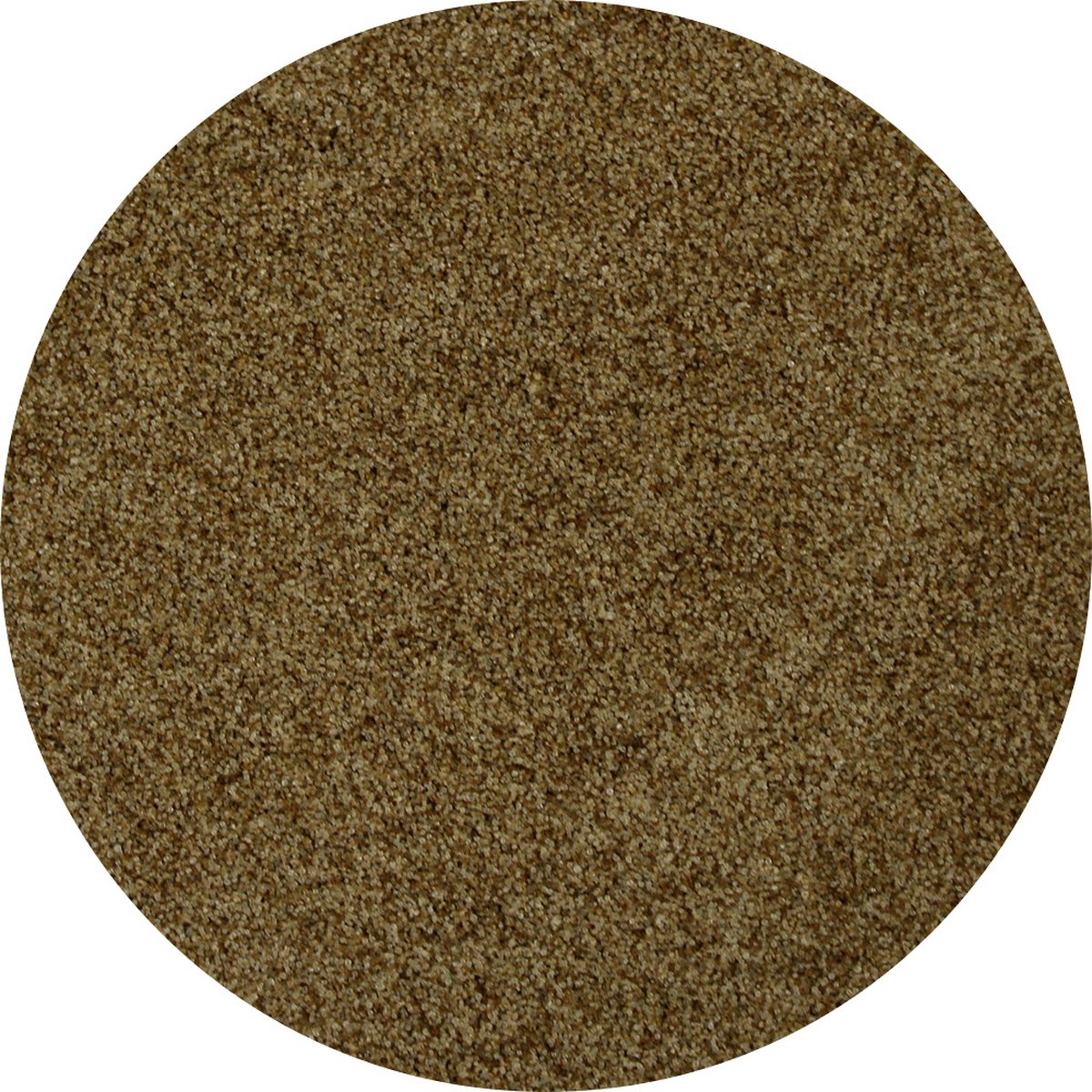 Goedkoopste Van Beekum Specerijen - Selderijzout - 20 KG - Zak (bulk verpakking