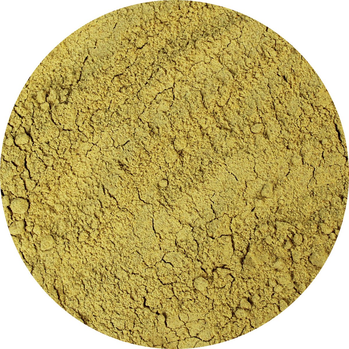 Goedkoopste Van Beekum Specerijen - Foenegriek / Fenegriek Gemalen - 20 KG - Zak (bulk verpakking