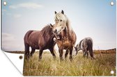 Muurdecoratie Paarden - Gras - Lente - 180x120 cm - Tuinposter - Tuindoek - Buitenposter