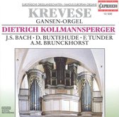 Krevese Gansen Orgel