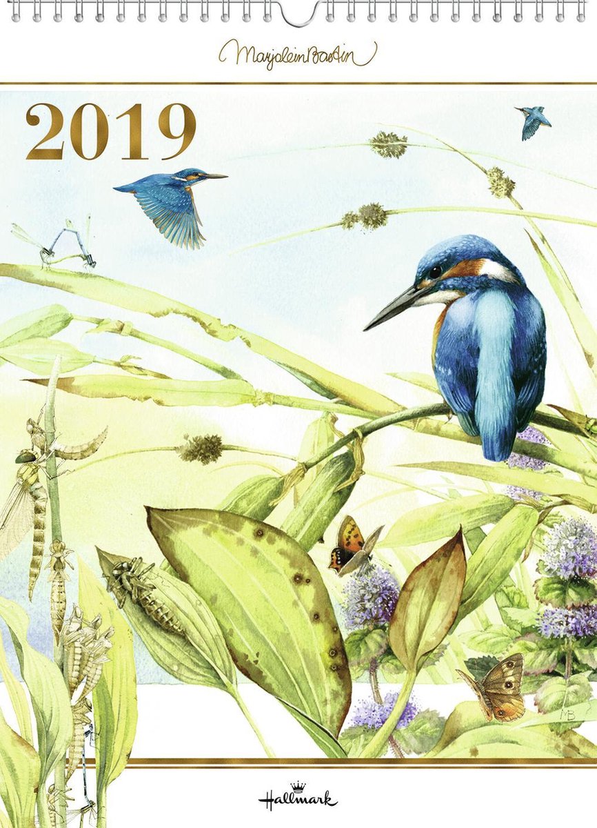 Bol Hallmark Maandkalender XL Marjolein Bastin Ijsvogel 2019 bol-hallmark-maandkalender-xl-marjolein-bastin-ijsvogel-2019