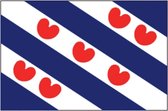 Dokkumer Vlaggen Centrale - Friese vlag - 100 x 150 cm