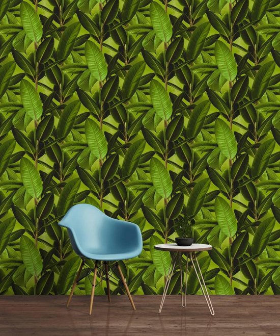 PAPIER PEINT DE FEUILLE DE PLANTES CAOUTCHOUC - Marron Vert - AS Creation Neue Bude 2.0