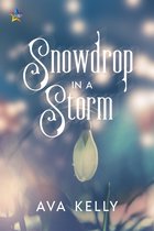 Snow Globes 3 - Snowdrop in a Storm