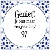 Verjaardag Tegeltje met Spreuk (97 jaar: Geniet! je bent maar één jaar 97! + cadeau verpakking & plakhanger