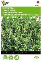 2 stuks Echte tijm, wintertijm (Thymus vulgaris)