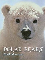 Polar Bears