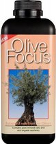 Growth Technology - Olive Focus Olijf Voeding 1 Liter (goed voor 100 liter)