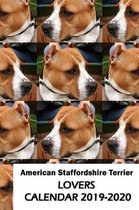 American Staffordshire Terrier Lovers Calendar 2019-2020