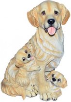 Honden beeldje Golden Retriever met puppies 35 cm