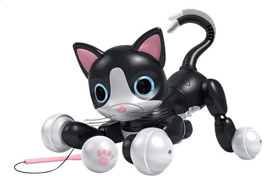 Zoomer Kitty - Kat | bol.com