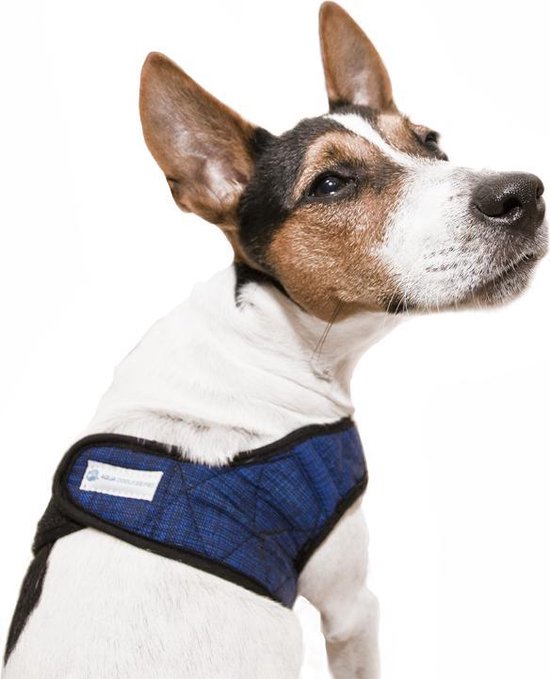 Aqua Coolkeeper Comfy Harness - XS - Pacific Blue
