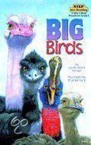 Big Birds