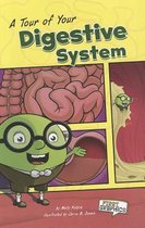 A Tour of Your Digestive System (First Graphics