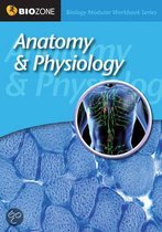 Anatomy And Physiology Modular Workbook