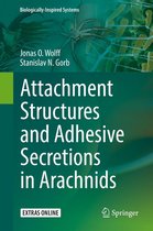 Biologically-Inspired Systems 7 - Attachment Structures and Adhesive Secretions in Arachnids