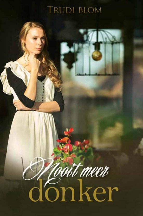 Nooit meer donker - cover