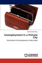 Unemployment in a Primate City