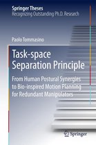 Springer Theses - Task-space Separation Principle