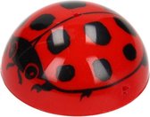 Goki Plopper Lieveheersbeestje Rood/zwart 4,5 Cm