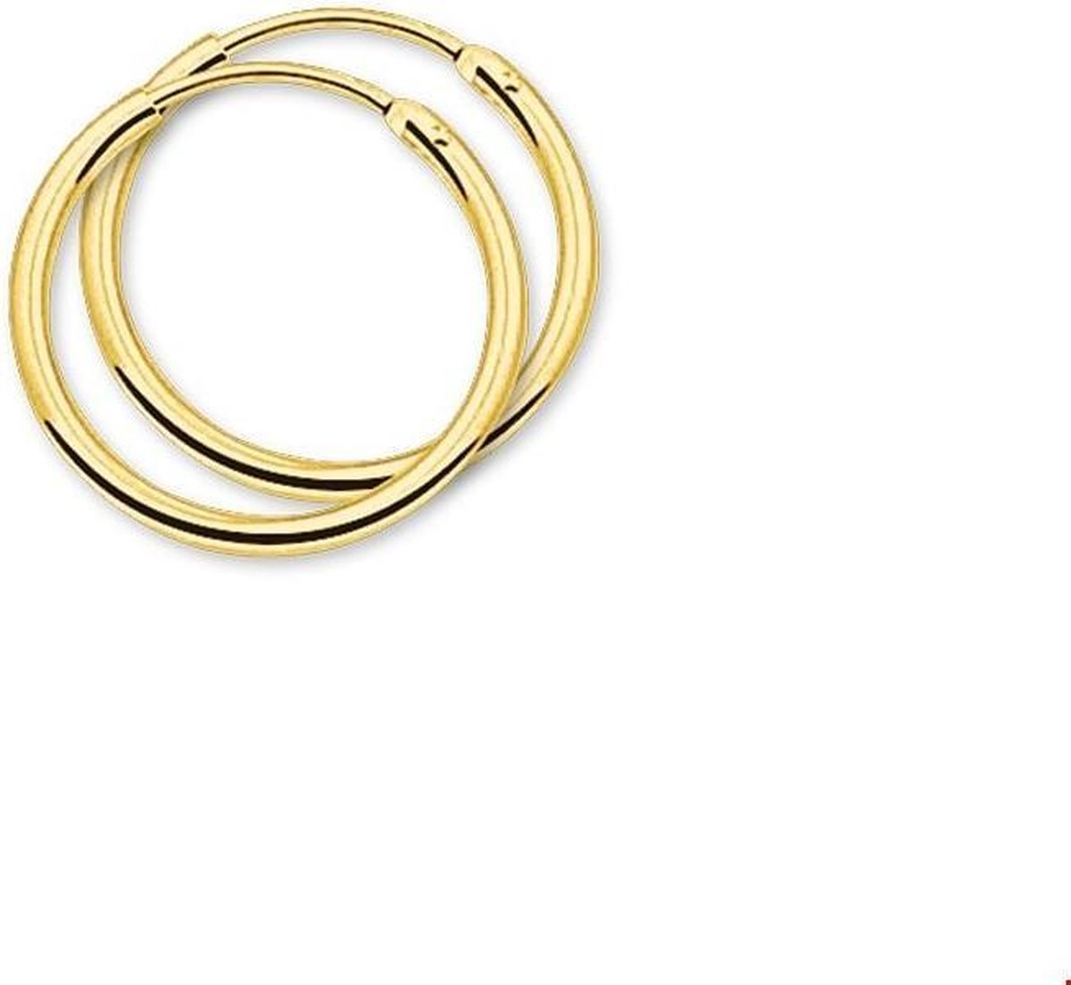 Gouden oorbellen 4018325