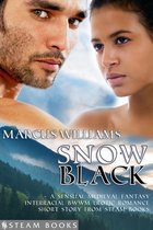 Snow Black - A Sensual Medieval Fantasy Interracial BWWM Erotic Romance Short Story from Steam Books