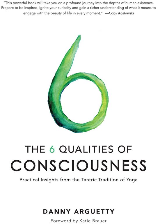The 6 Qualities of Consciousness - cover