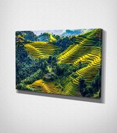 Mu Cang Chai In Vietnam Canvas - 100 x 70 cm