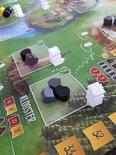 Grijze en witte pionnen op een groen spelbord met bomen en gebouwen.